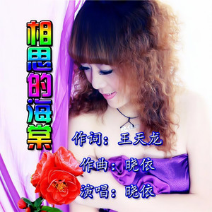 相思的海棠伴奏