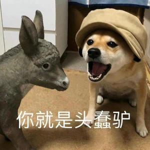 致小雨