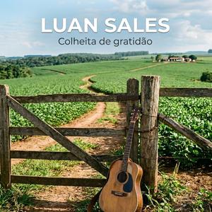 Colheita de gratidão