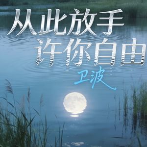 从此放手许你自由