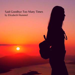 Said Goodbye Too Many Times