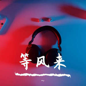 等风来（wxy remix）
