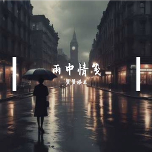 雨中情笺