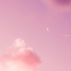 니가 보고싶은 밤