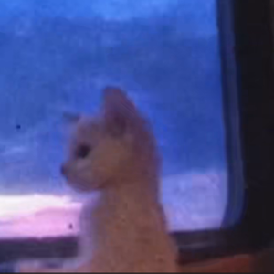 粉色 （Prod by 空空壹）