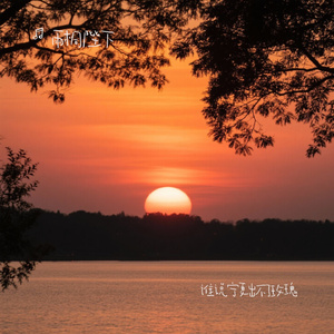 谁说宁夏出不了玫瑰