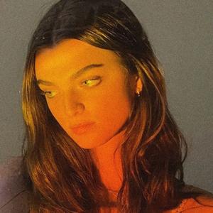 everlong (slowed + reverb)