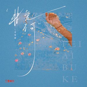 非爱不可（DJ弹鼓版）