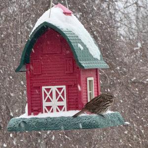 West by God Viriginia (rap) 2