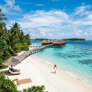 Paradise