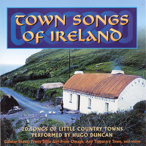 Little Country Town In Ireland