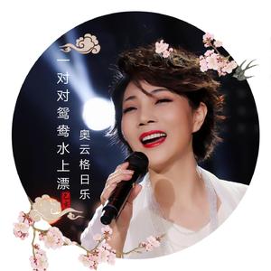 群星-一对对鸳鸯水上漂（伴奏）（奥云格日乐 remix）