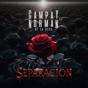 Separacion