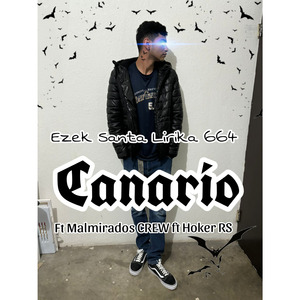 Canario