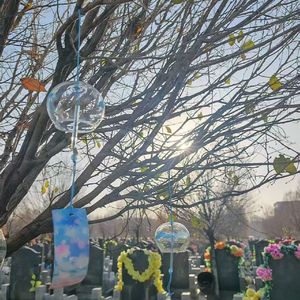 再见就是十二万亿年