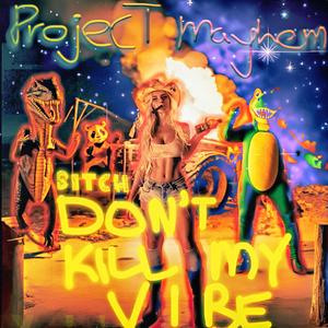 Bitch Don't Kill My Vibe