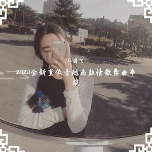 2020全新重低音越南鼓情歌舞曲串烧（翻自 DJ国飞）