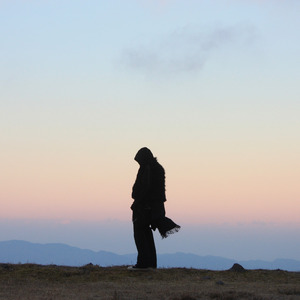 Not all a lie (feat. evisv)