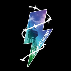 The Outlaws of this Town