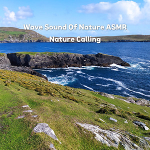 자연의 파도소리 ASMR