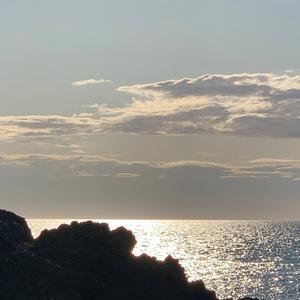 Jaeger ((The Hunter))