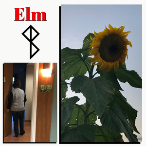 Elm