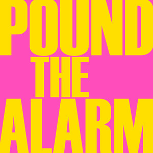 Pound The Alarm (Origionally Performed by Nicki Minaj) [Karaoke Version]