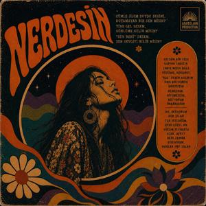 Nerdesin