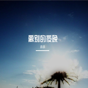 夜晚的星星