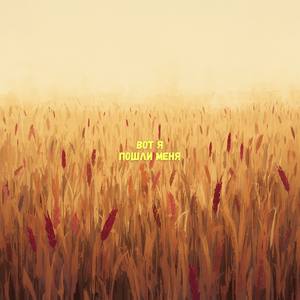 Вот я, пошли меня