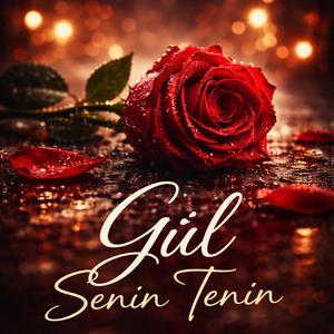 Gül senin tenin
