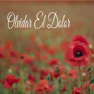 Curacion Del Paraiso