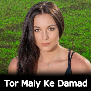Tor Maiy Ke Damad