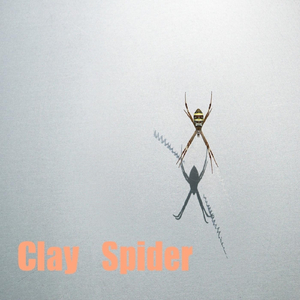 Clay Spider