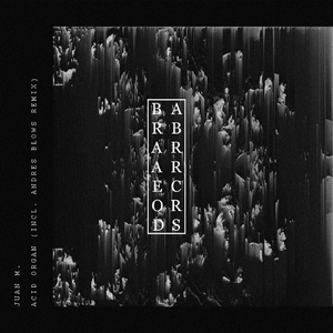 Acid Organ (Andres Blows Remix)