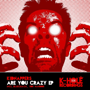 Are You Crazy? (Roi Nandor Remix)