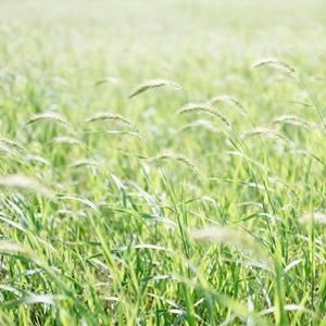 后会无期 (Remix)