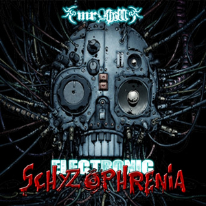 Electronic Schyzophrenia