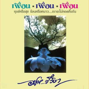 กลับบ้าน