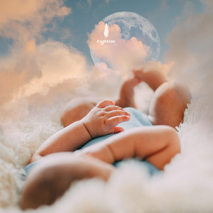 꿈나라 동요 요정들의 음악회