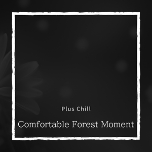 Serenades for the Morning