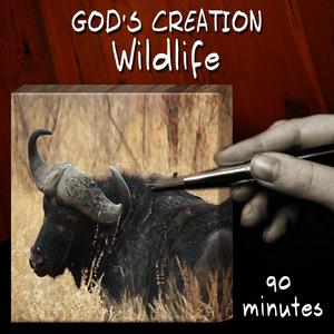 Wildlife (90 Minutes)