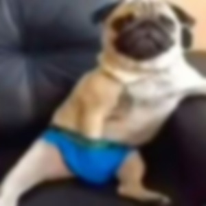 Slow Motion (slowed)