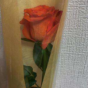 那些你很冒险的梦