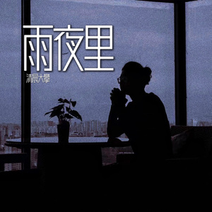 雨夜里（时光落痕版）