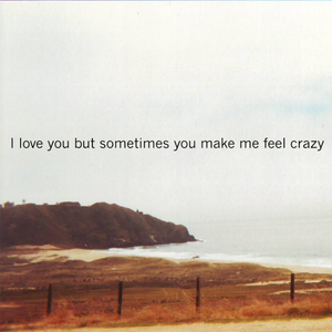 I love you but sometimes you make me feel crazy