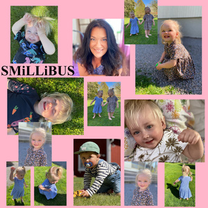 SMiLLiBUS
