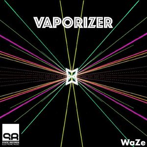 Vaporizer