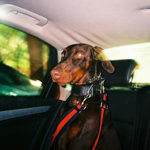 RPG (feat. VIP Skylark)