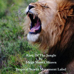 King Of The Jungle